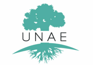 Complément alimentaire préconception UNAE